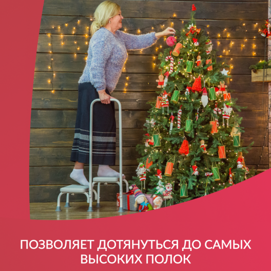 СТУПЕНЬ С РУЧКОЙ Армед LUX  9