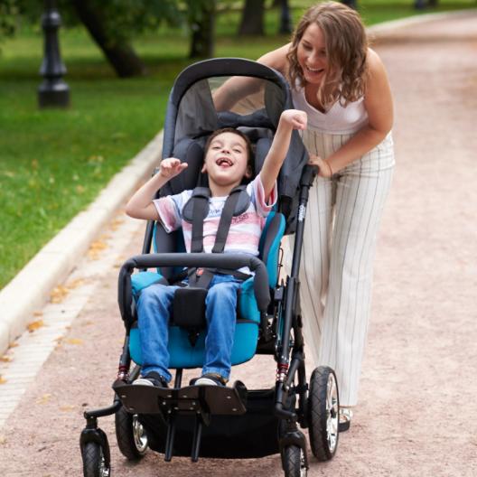 Кресло-коляска на прогулочной раме Hoggi Bingo Evolution 2